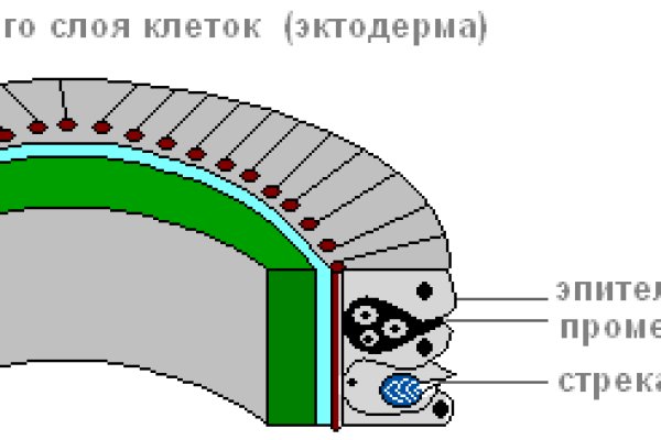 Ссылки для tor