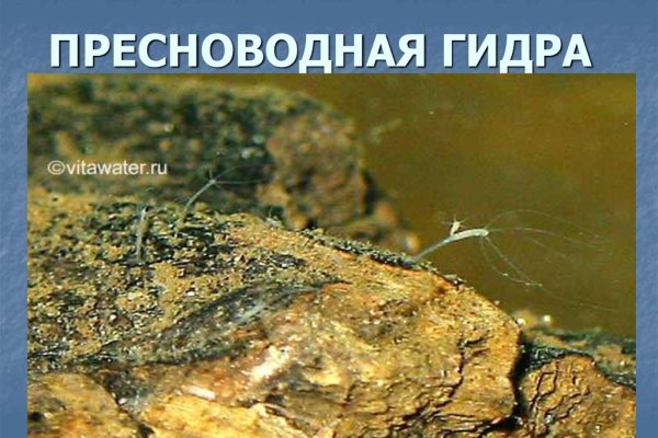 Сайт наркотиков купить