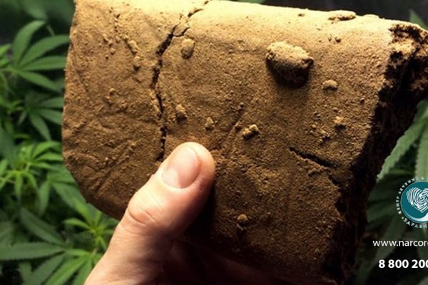 Даркнет ссылка