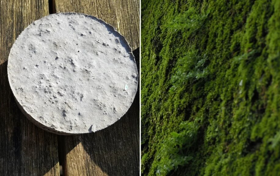 Кракен актуальное зеркало